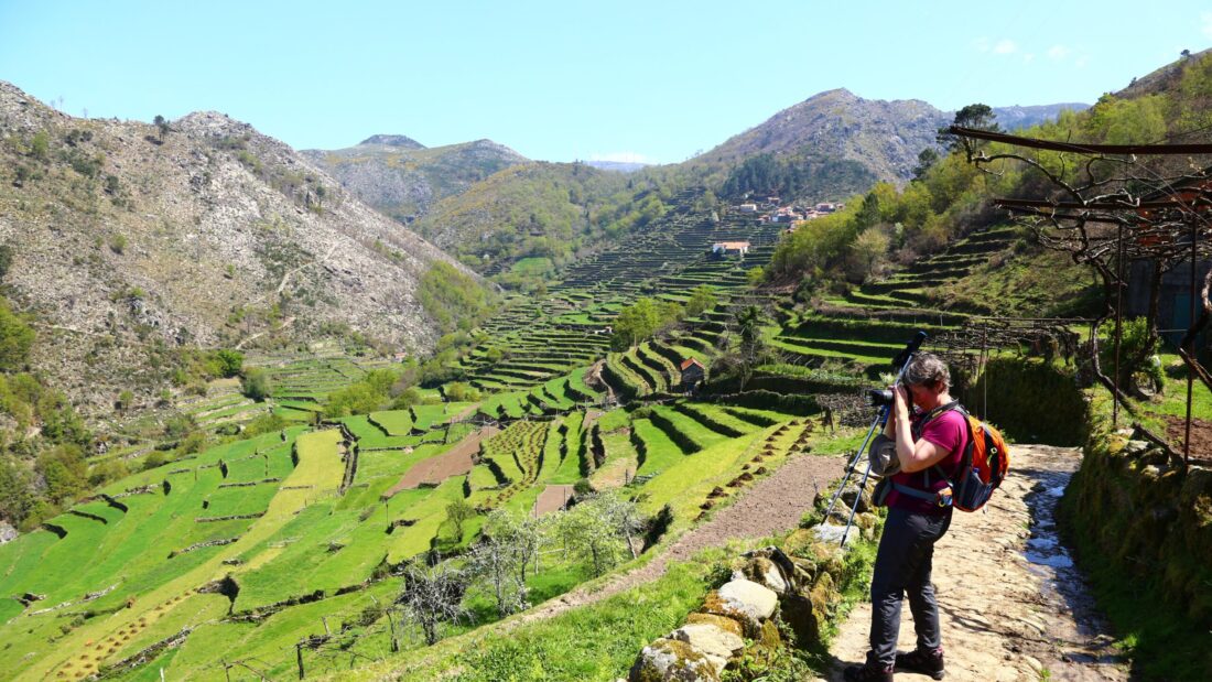 Circular walk via São Mamede de Ribatua