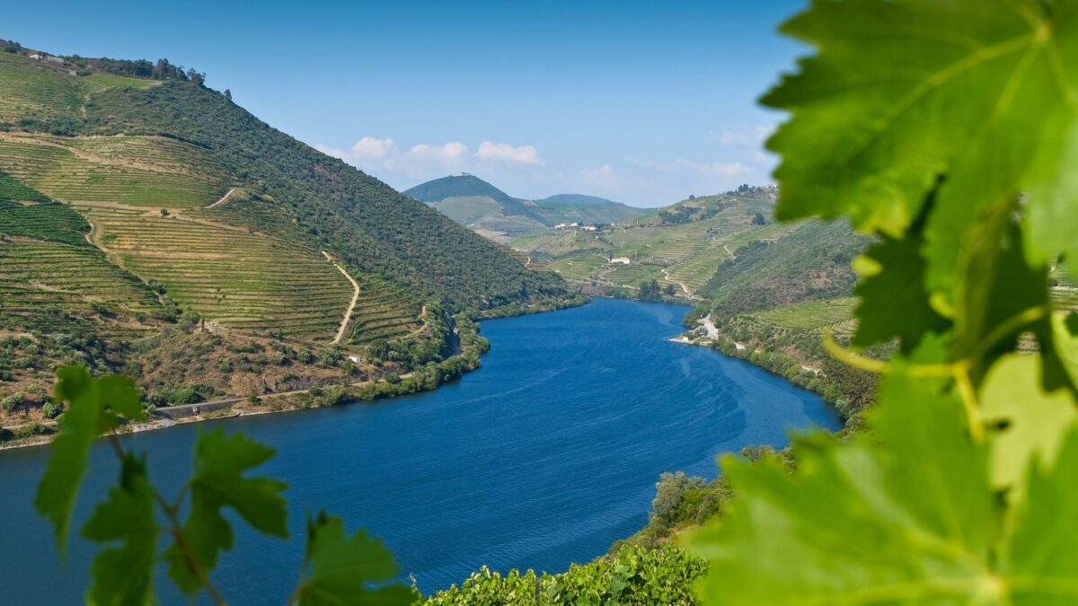 Douro Valley