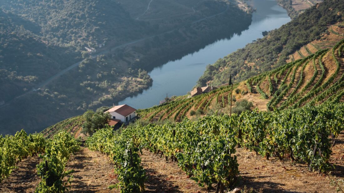 Alijó to Pinhão