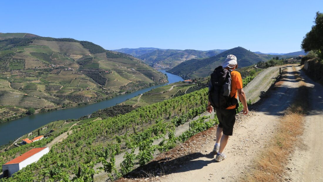 Provesende circular walk