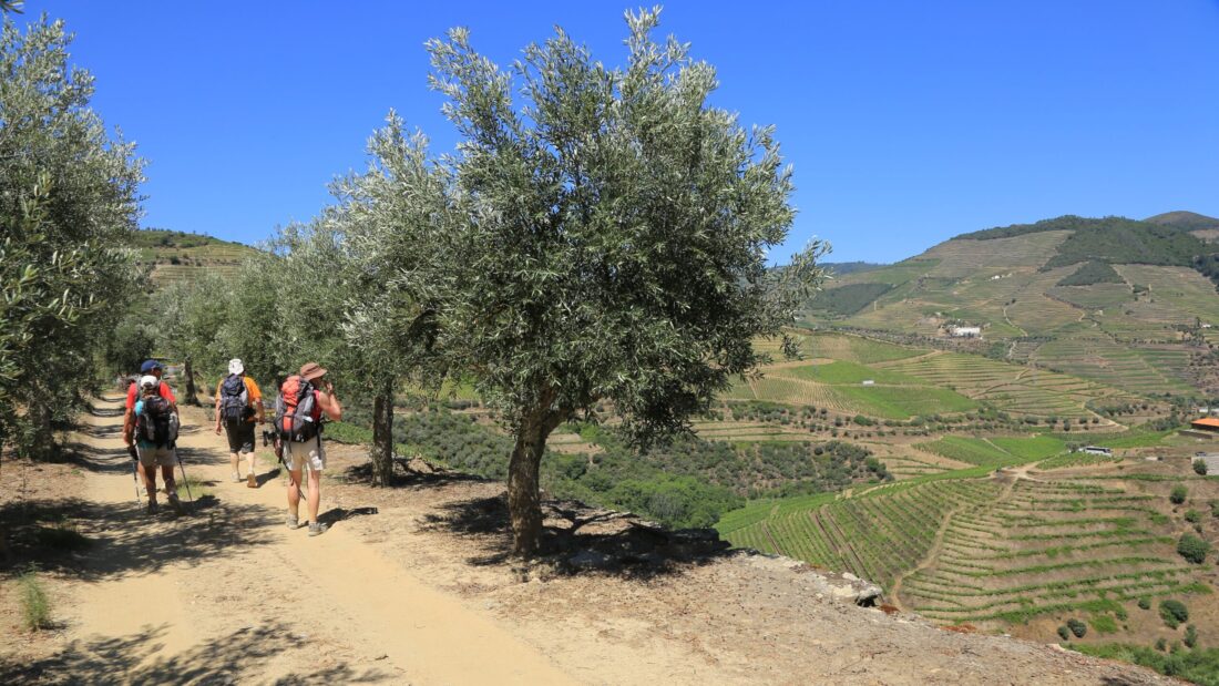 Castro Laboreiro to Peneda
