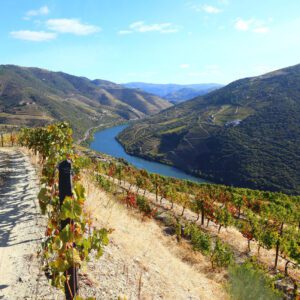 Douro Valley & Vineyards Walking Holiday