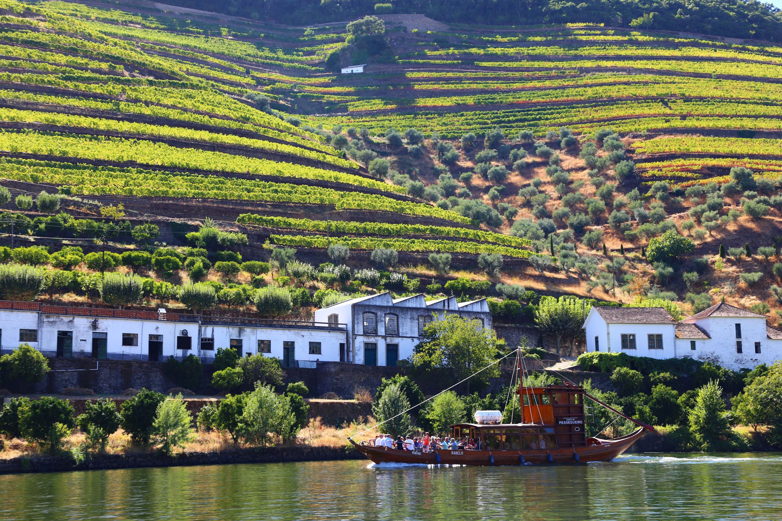Heart and Soul of Douro (PGW) (2)