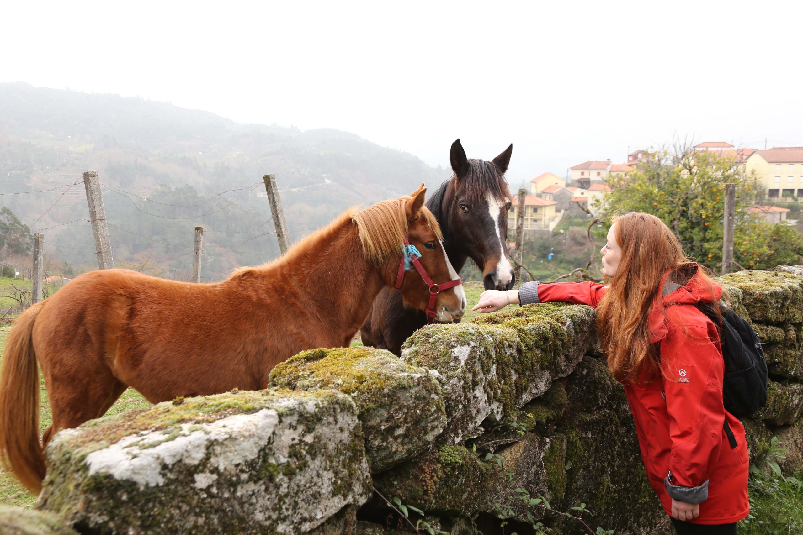 Highlights-of-Northern-Portugal-walking-holidays.jpg