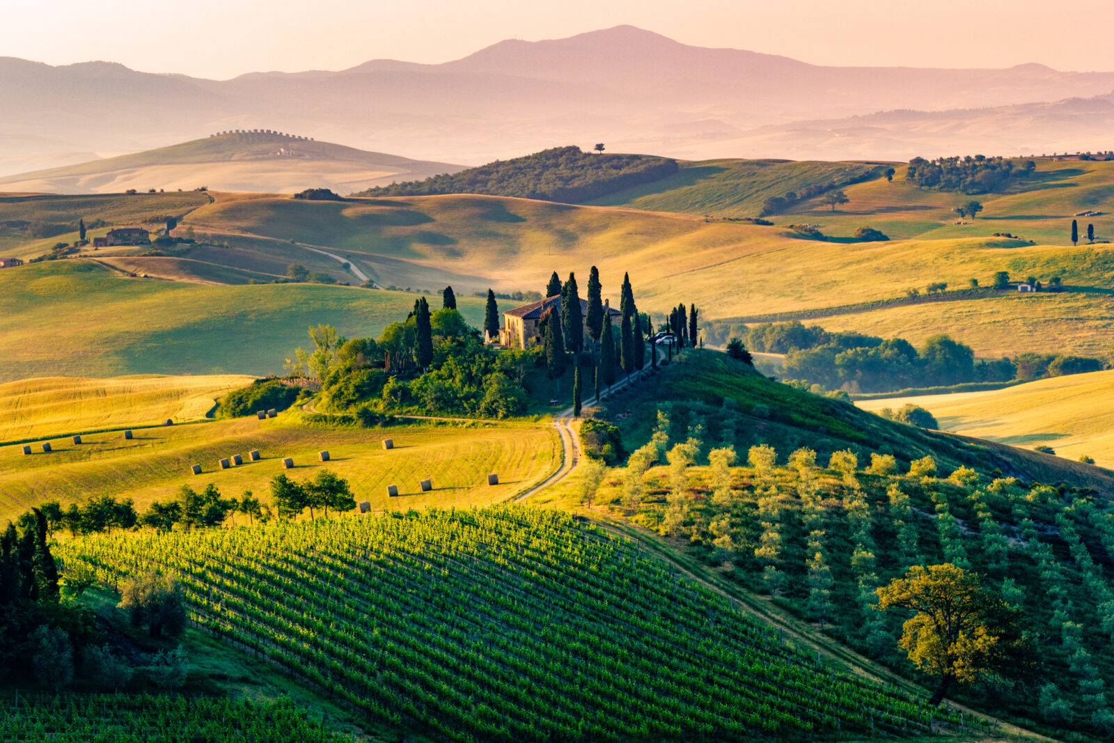 The Tuscan Landscape