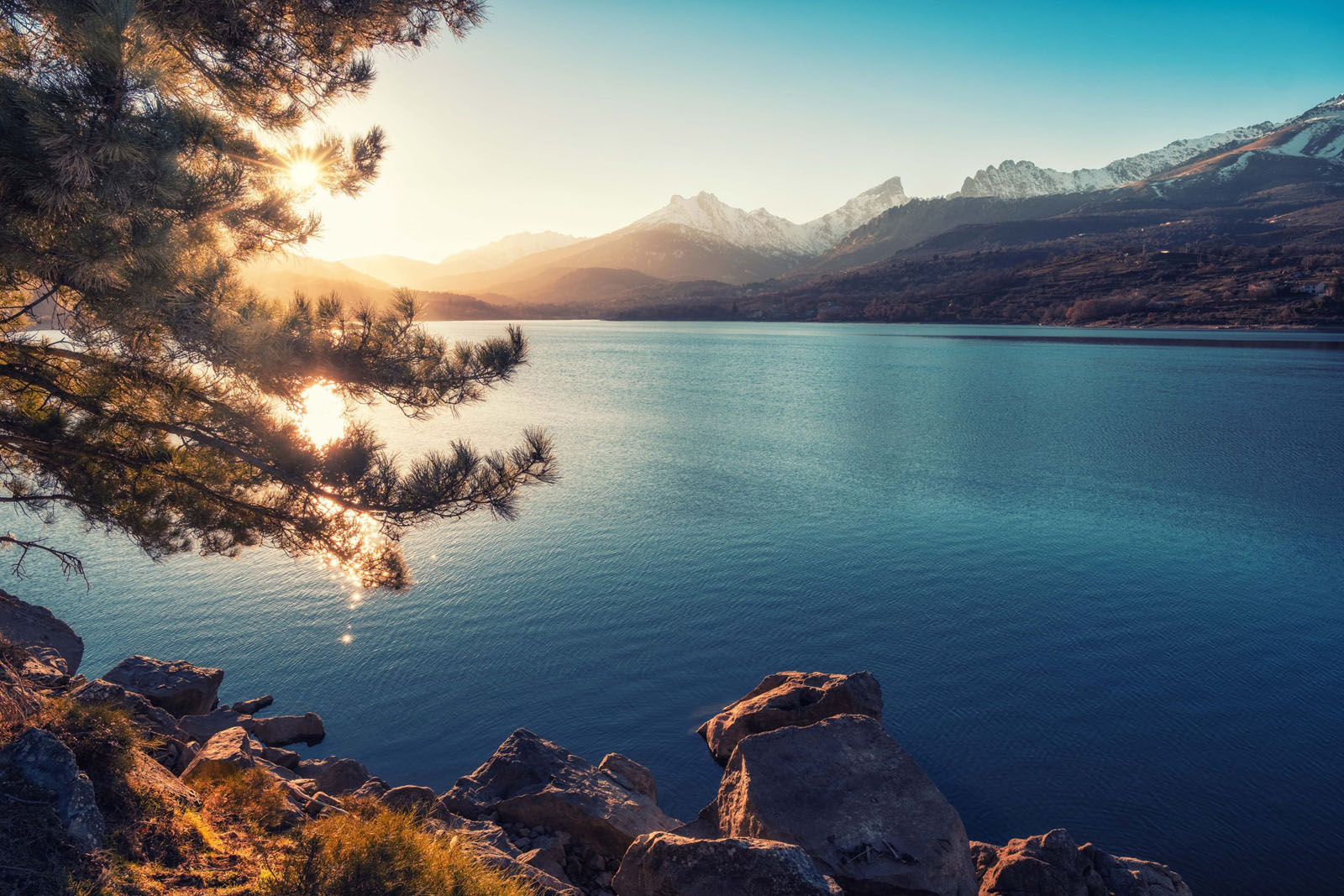 Sun filtering through pine tree above lake Calacuccia in Corsica