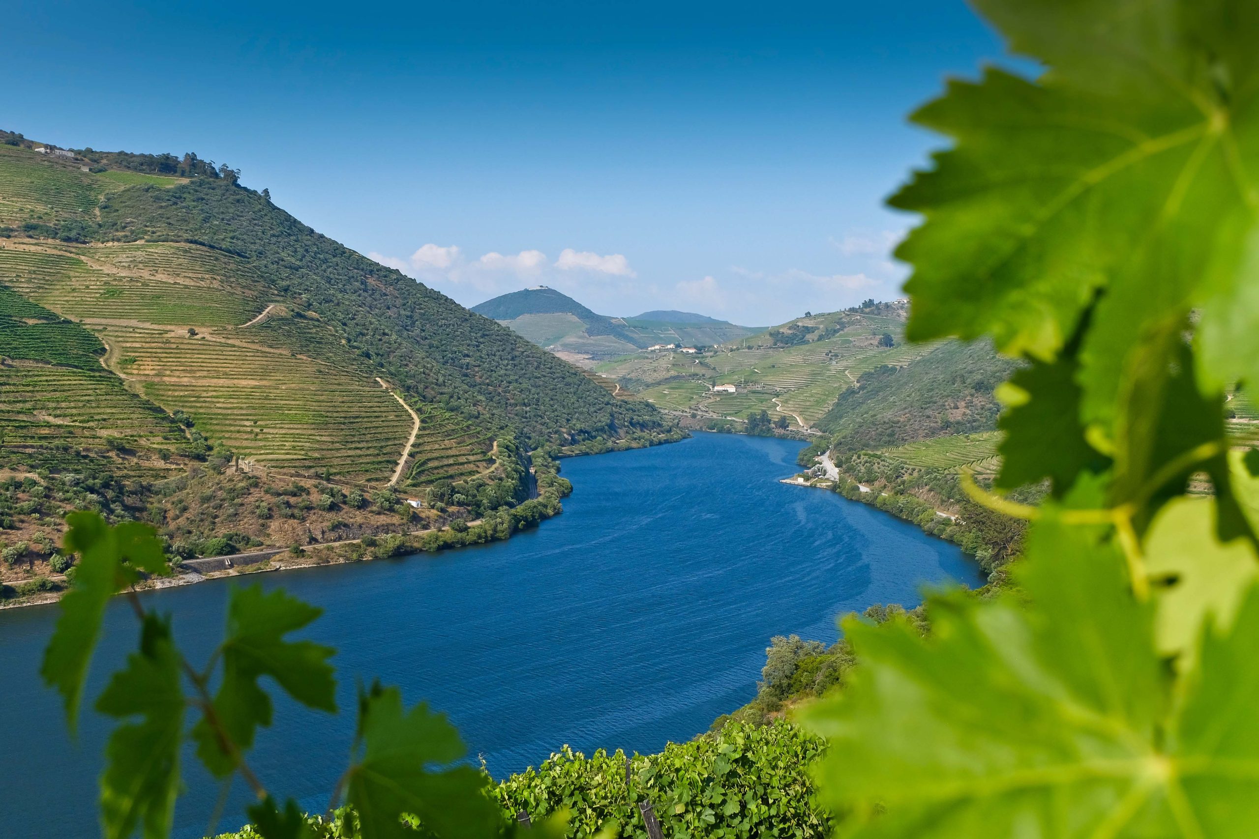 Douro Valley - Portugal