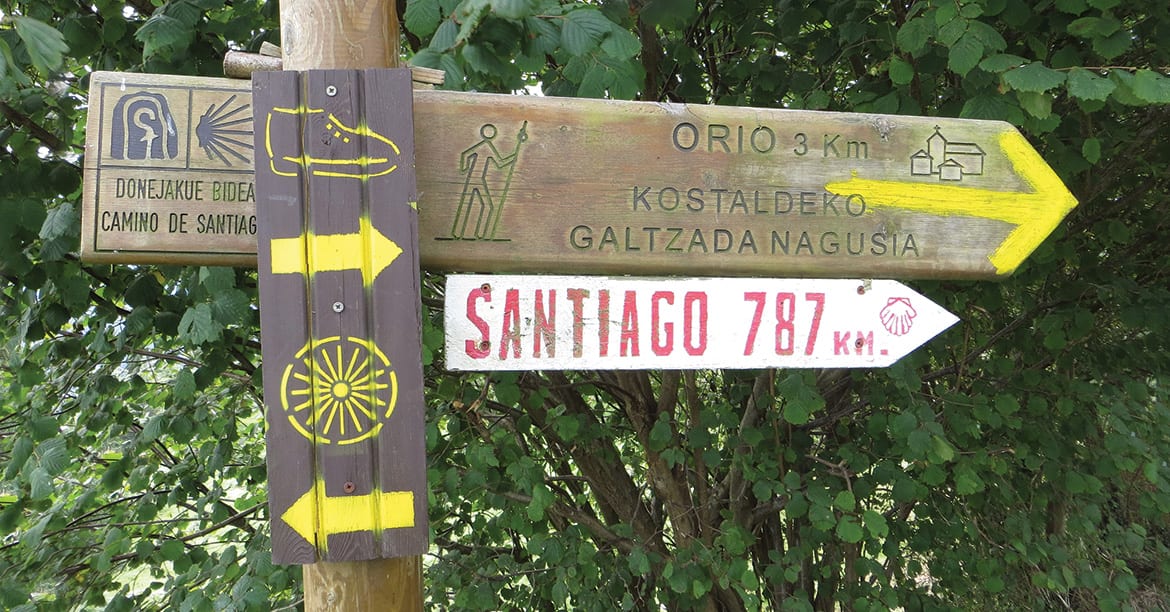 day3-hike-the-camino-de-santiago-19