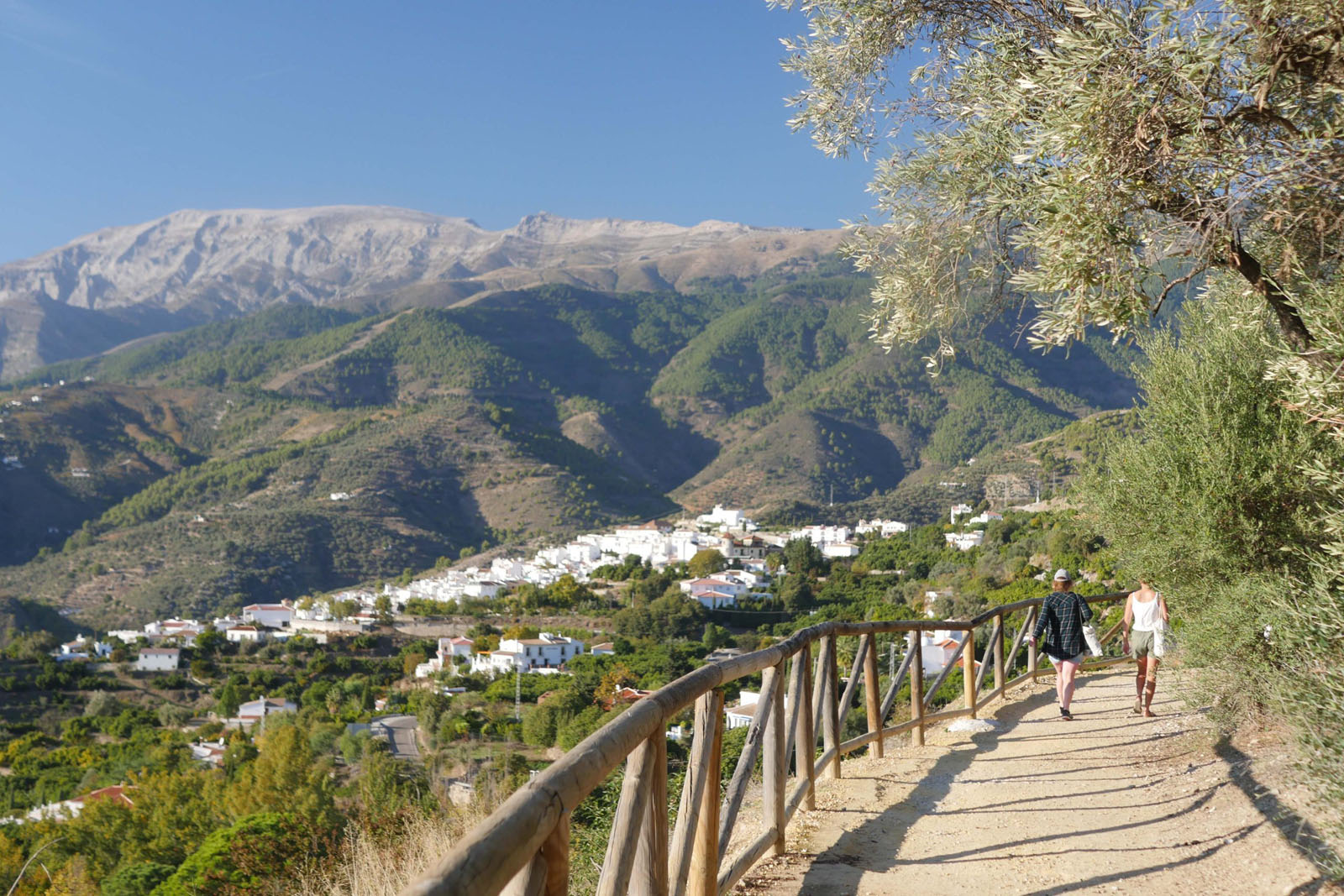 day3-walking-holidays-in-canillas-andalucia