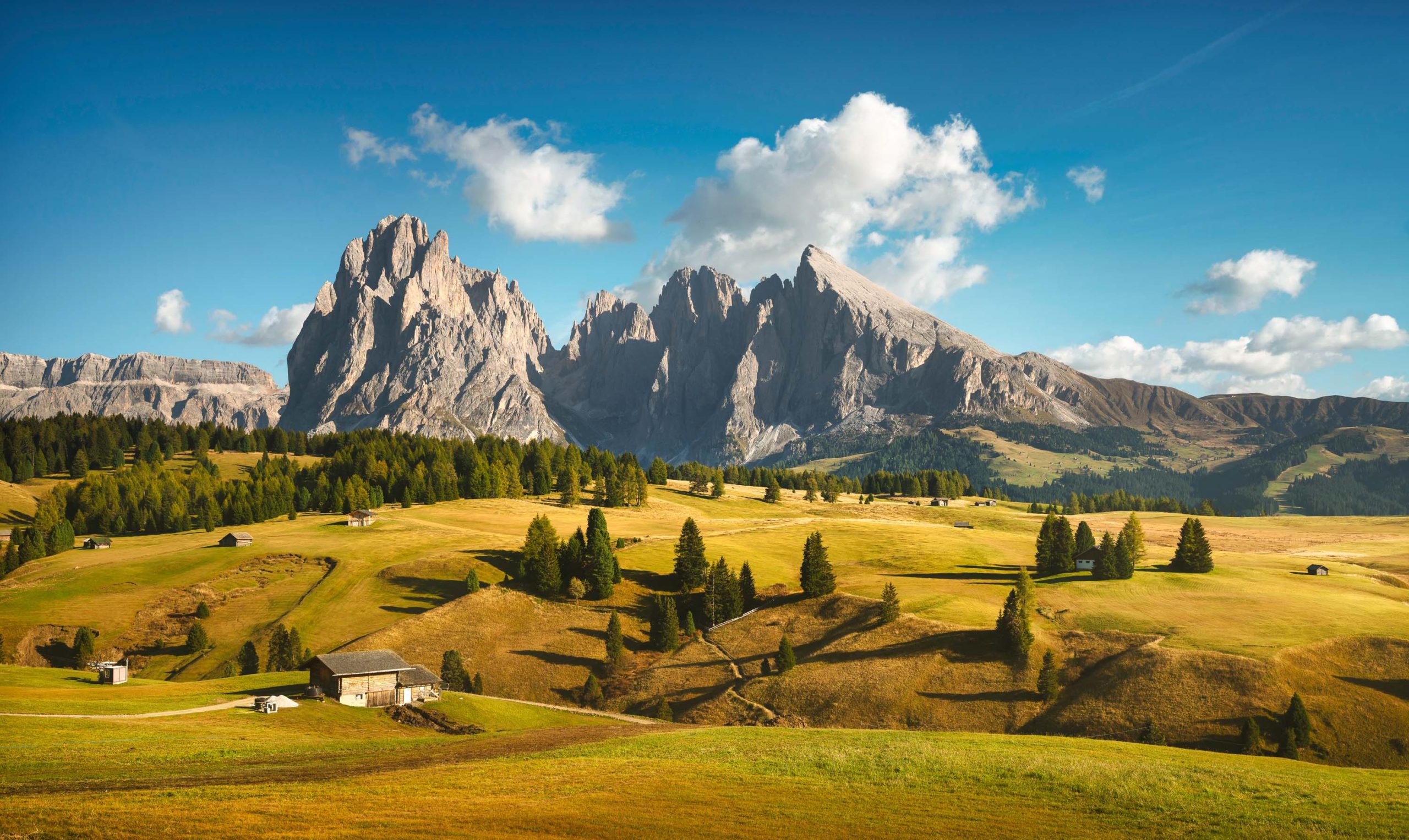 Alpe di Siusi or Seiser Alm and Sassolungo mountain, Dolomites Alps, Italy.