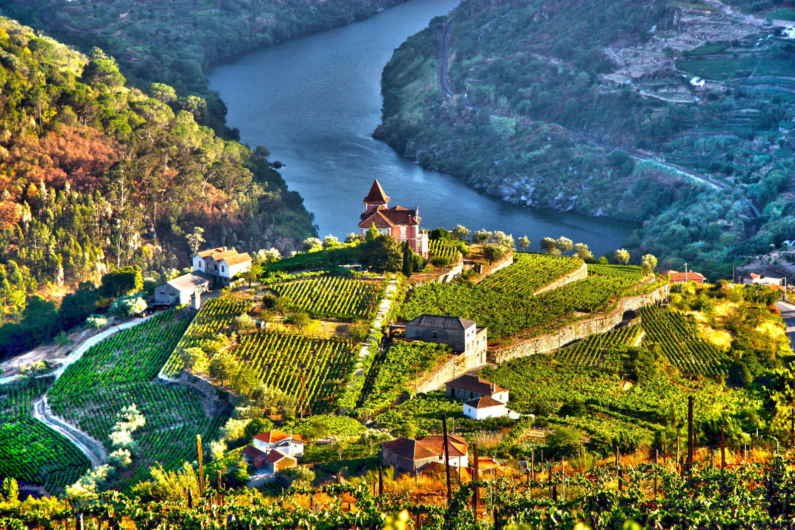 Douro Valley