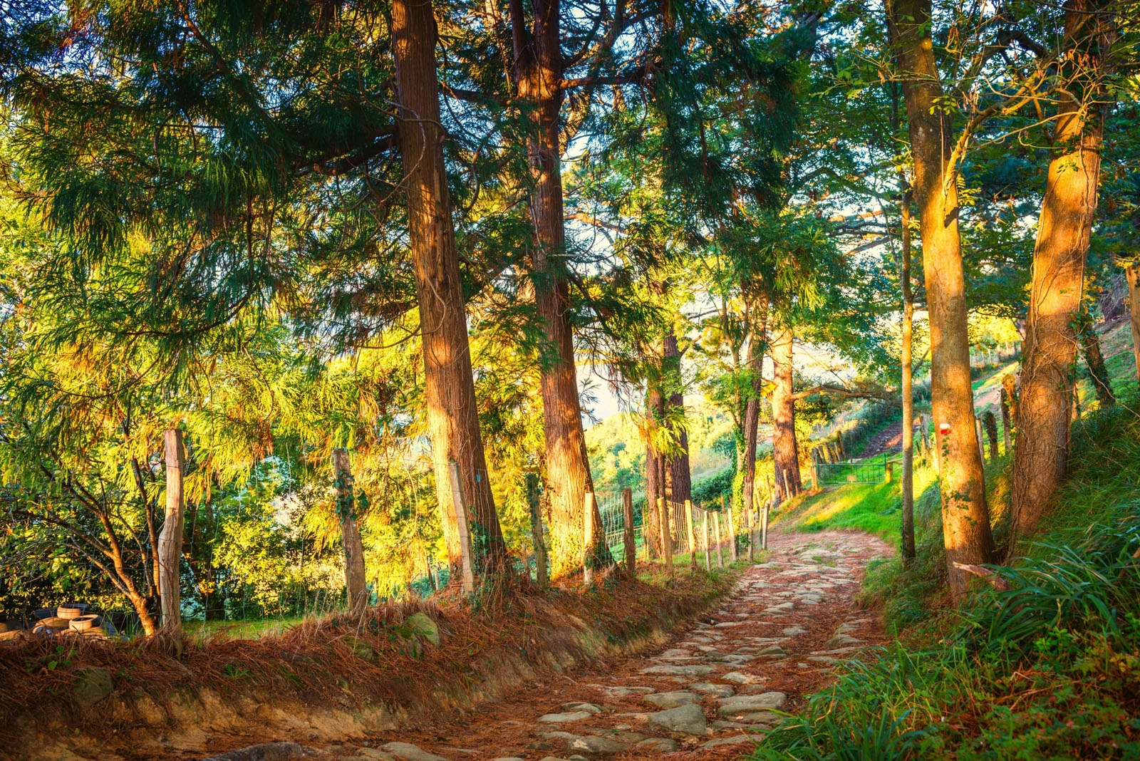 Basque Country Spain Landscape near the Village Orio