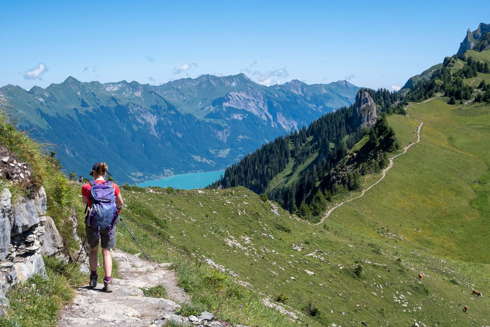 swiss-alps-walking-holidays