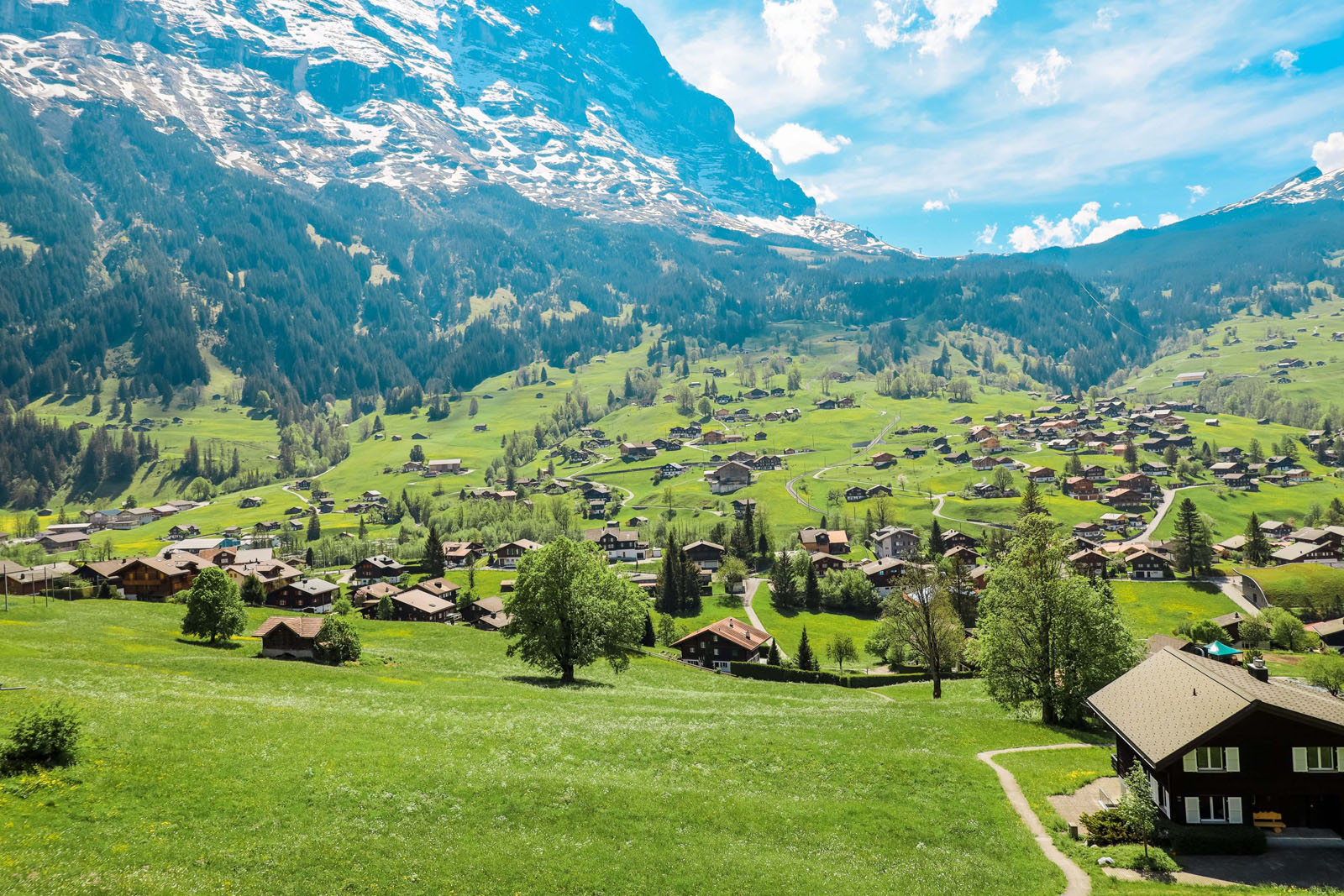 via-alpina-walking-swiss-alps.jpg