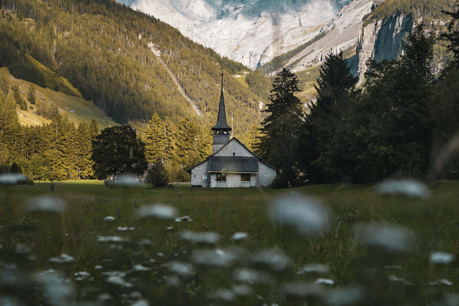 via-alpina-walking-swiss-alps(2)