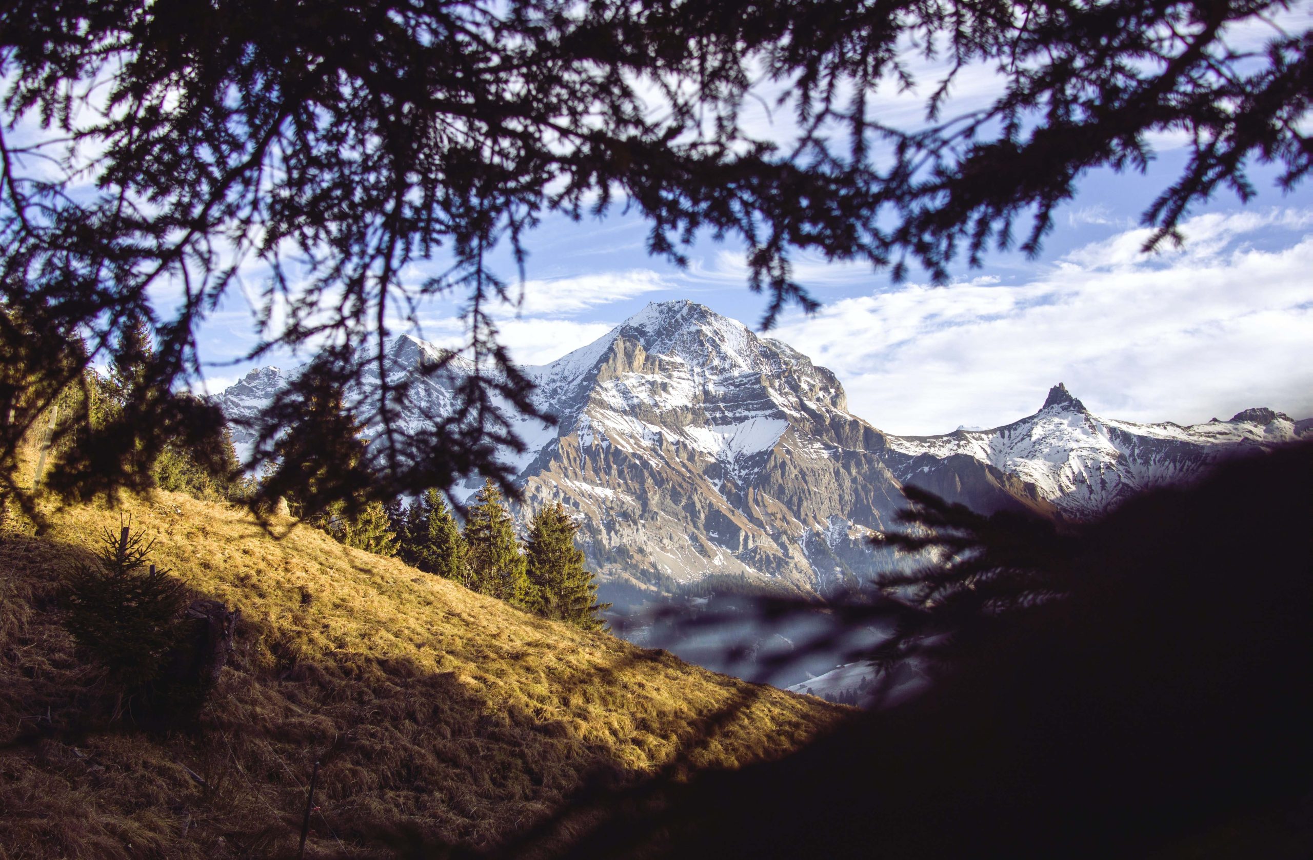 via-alpina-walking-swiss-alps(4)