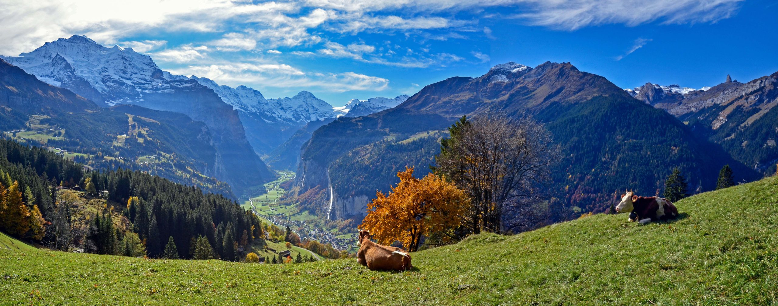 via-alpina-walking-swiss-alps(5)