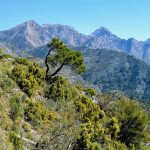 walking-holidays-andalucia-11-3.jpg