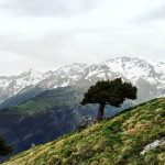 walking-holidays-pyrenees-02