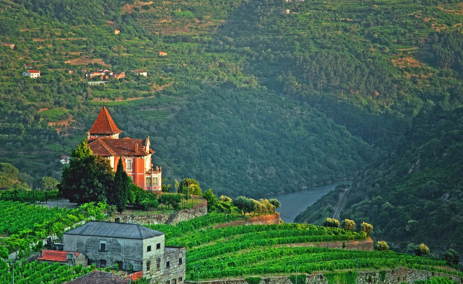 Douro Valley in Portugal