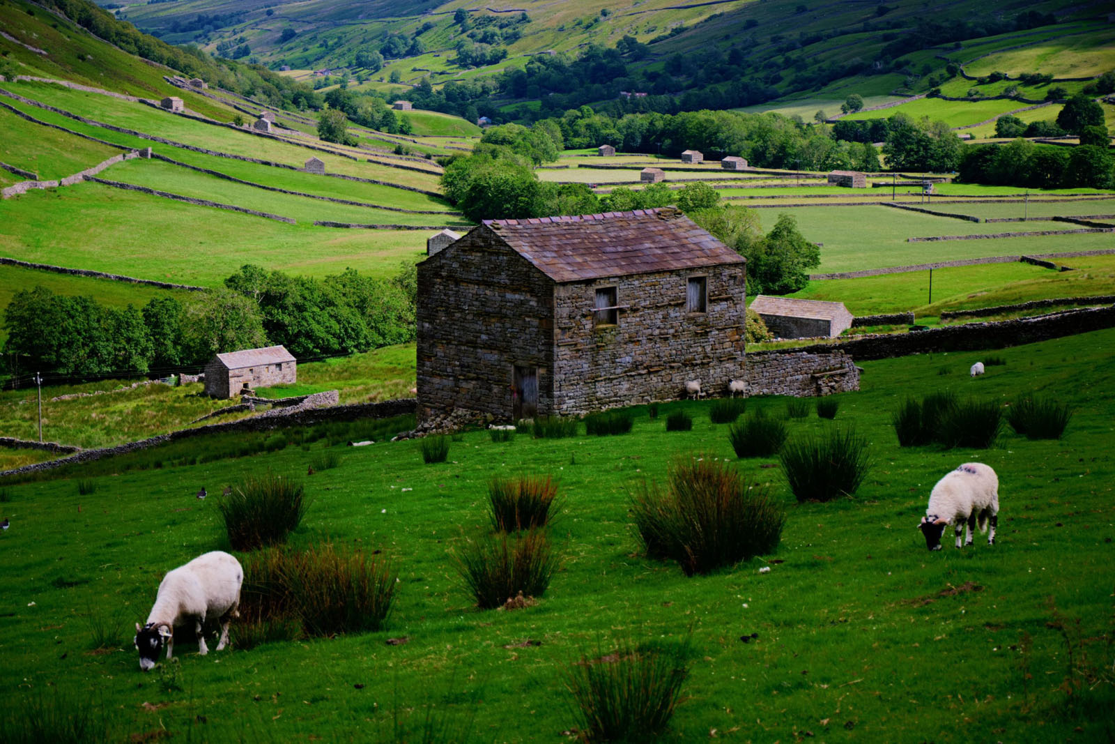 yorkshire-dales-walking-holidays