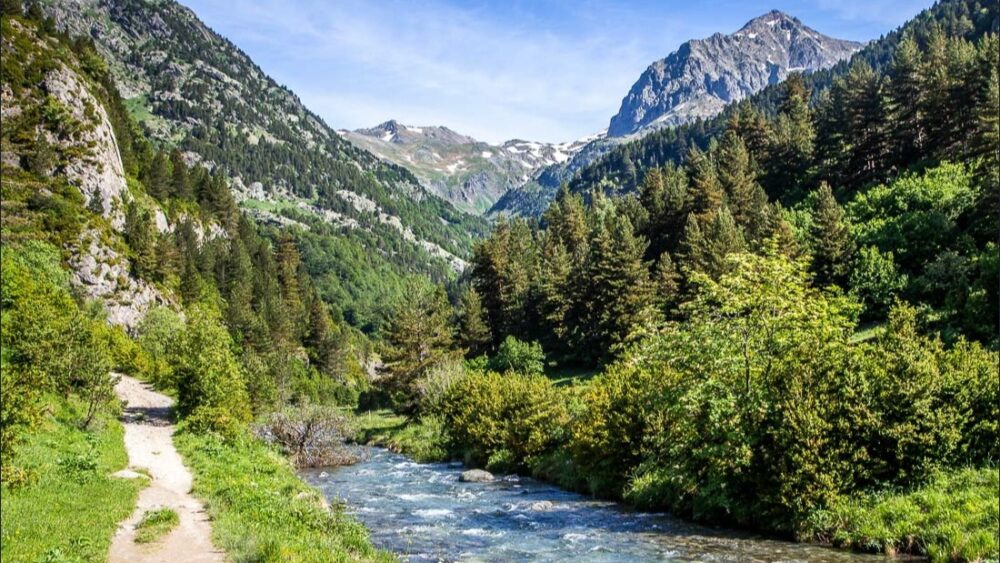 Aguas Limpias