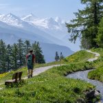 walking-holiday-swiss-alps-007-1