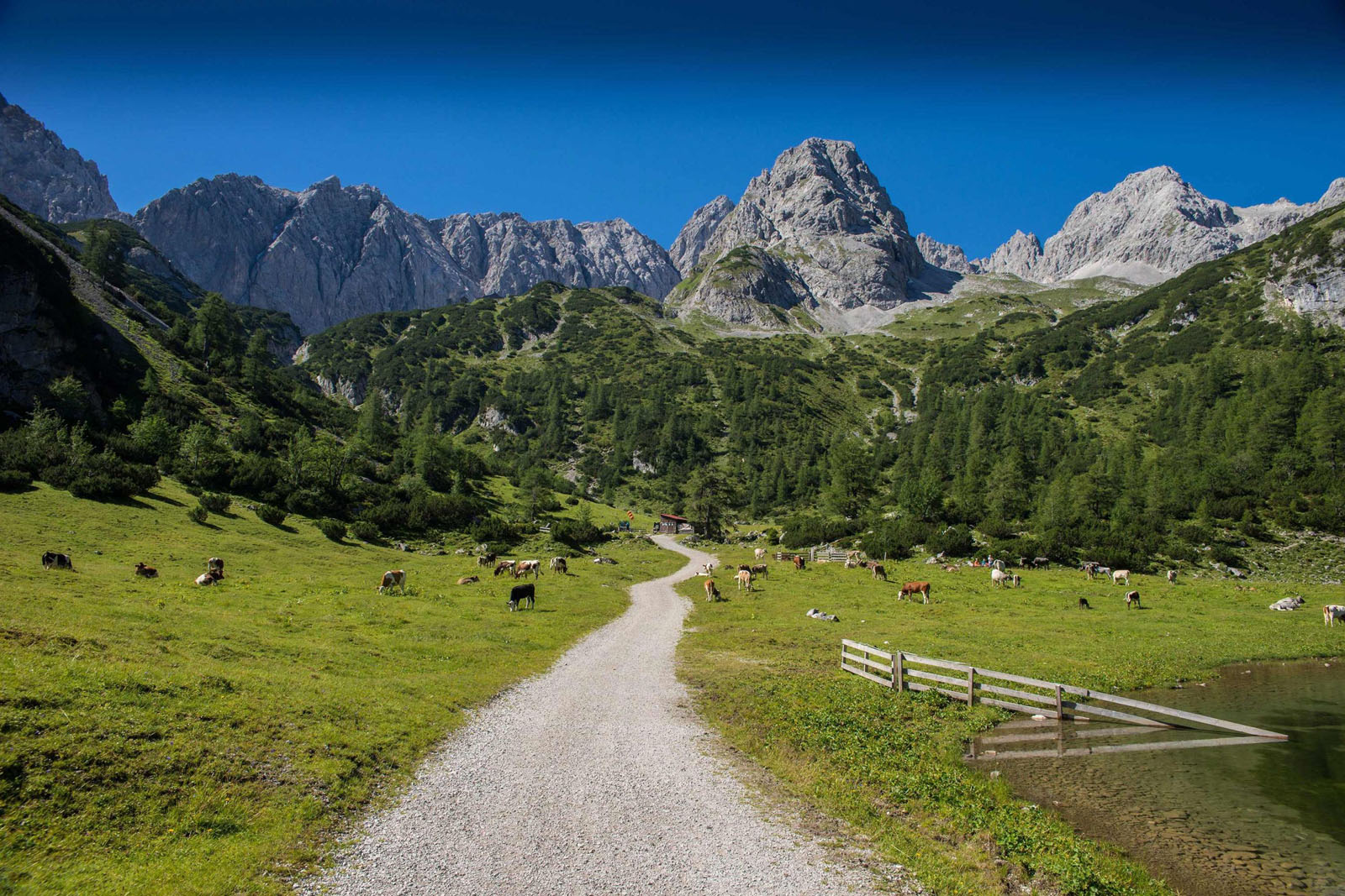 zugspitze-arena