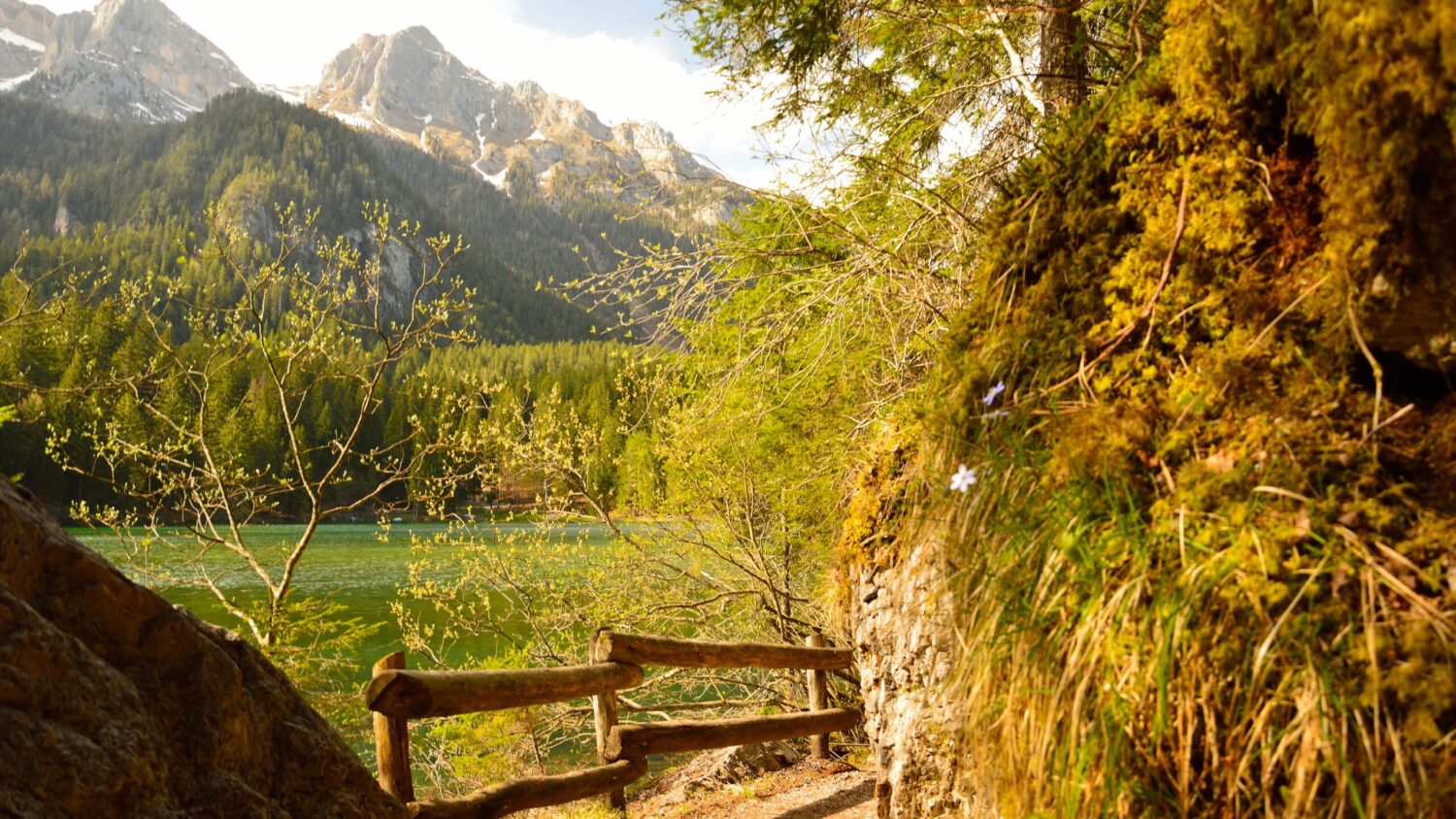 Northern Brenta