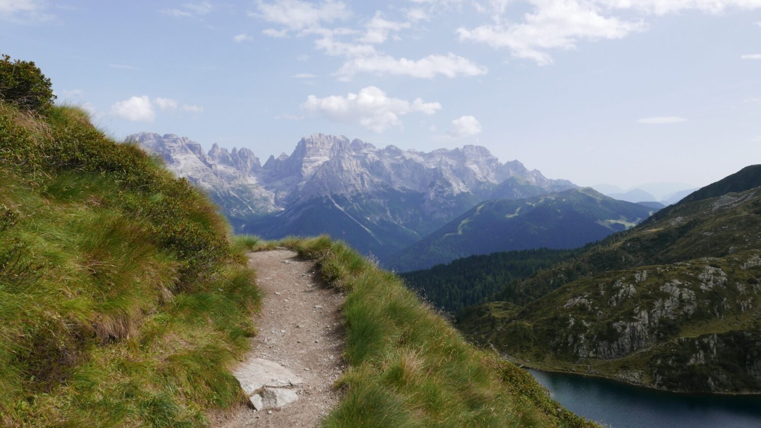 Monte Peller