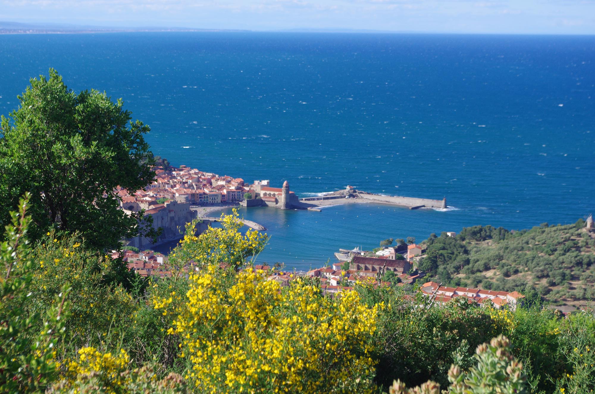 self-guided-coastal-walking-collioure
