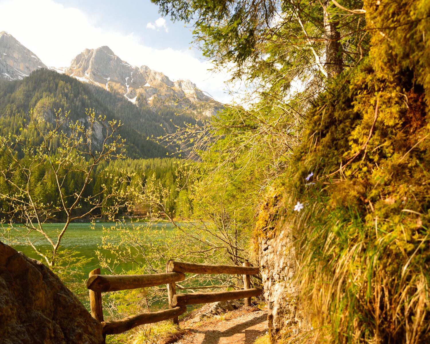 Tovel Lake, Val di Sole, Trento, Italy