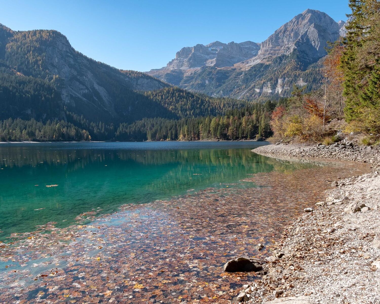 Aerials view of Tovel Lake in autumn - Trentino - Italy