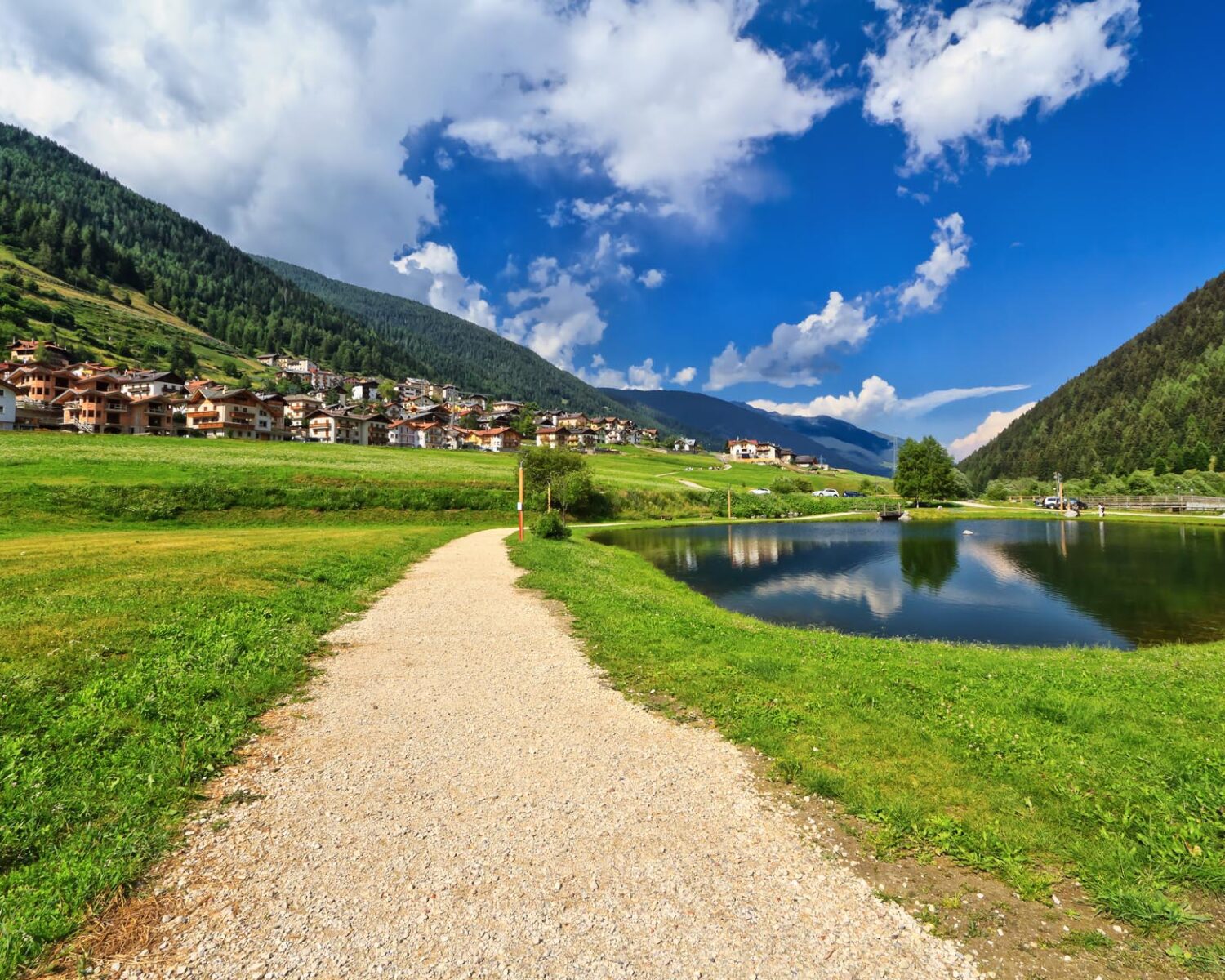 Trentino - Val di Sole