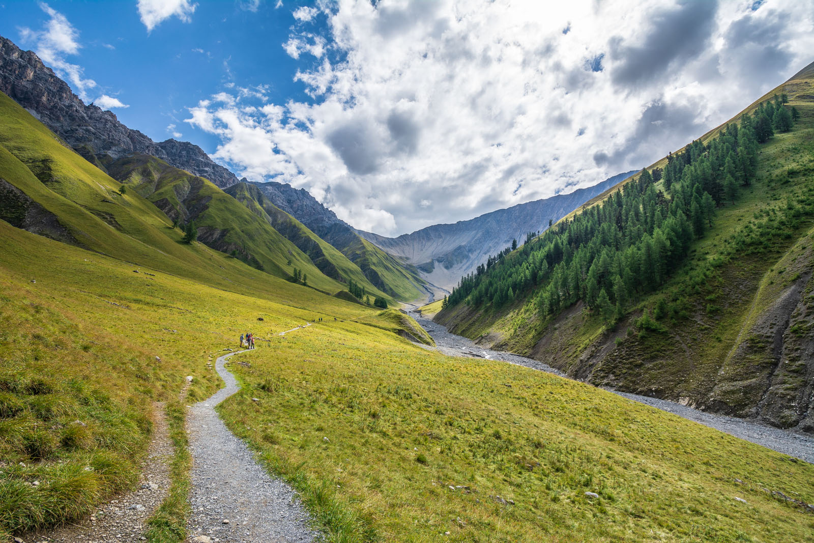 Schweizer Nationalpark - Alp Trupchun - Serie