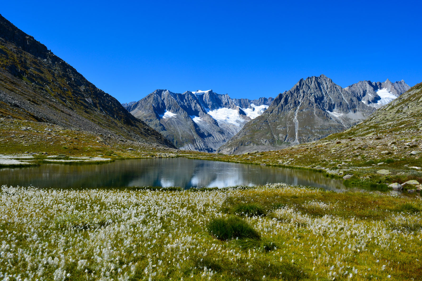 Sicht über Märjelensee