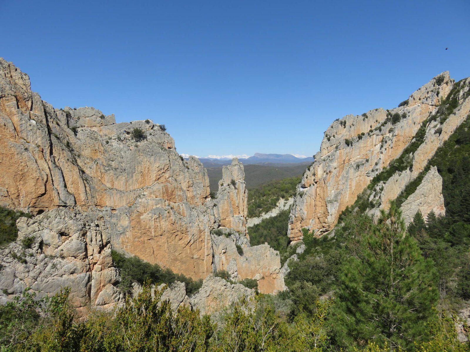 Foz de Salinas