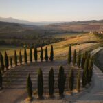 tuscany-hillwalking-holidays-cipressi
