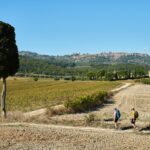 tuscany-hillwalking-holidays-montalcino (2)