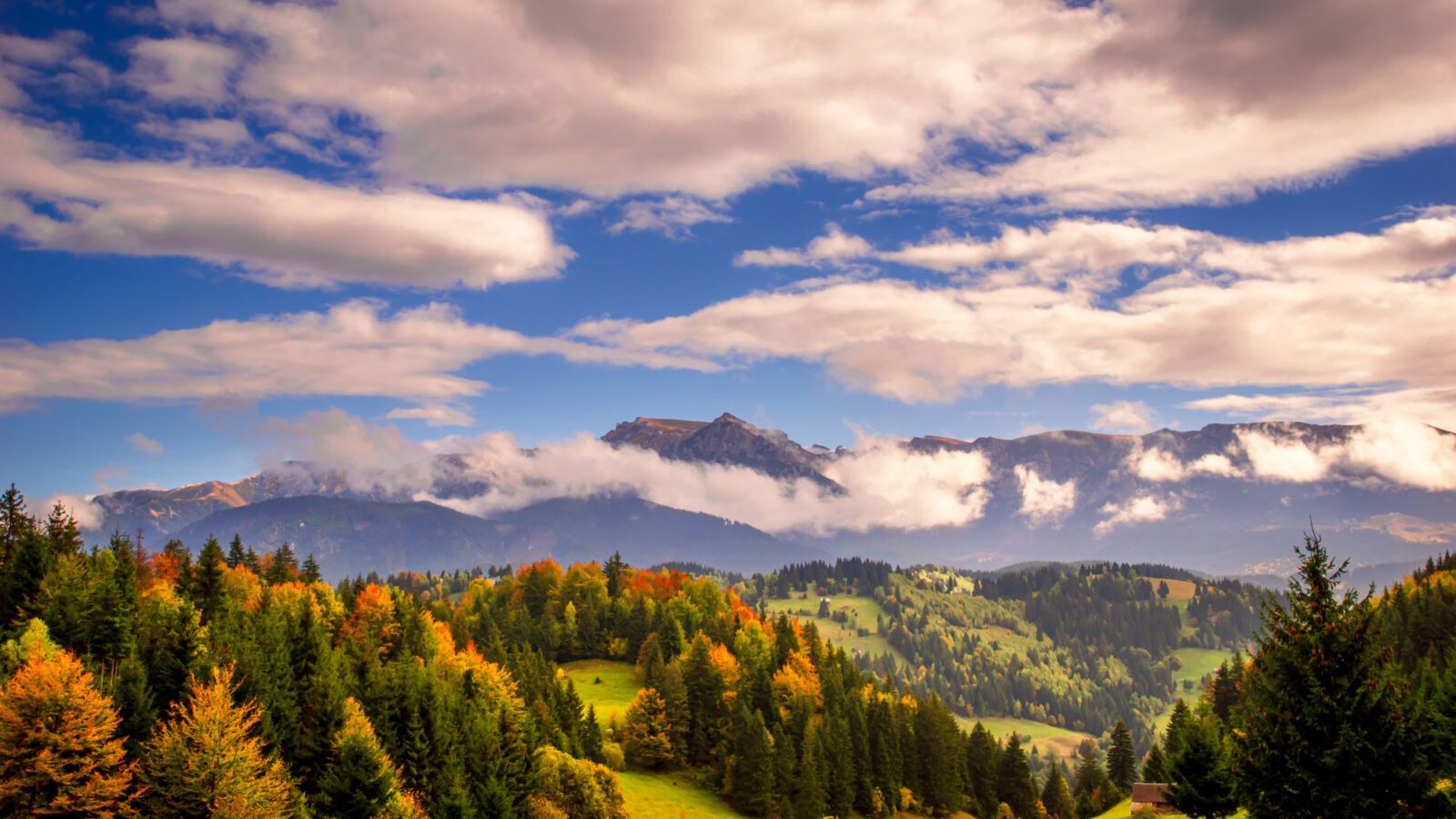 Moieciu de Sus, Brasov county, Romania