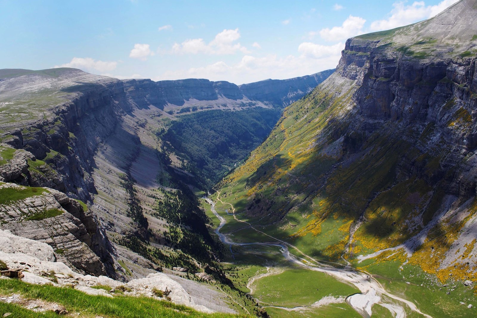 Experience the Bloom of Summer in the Pyrenees
