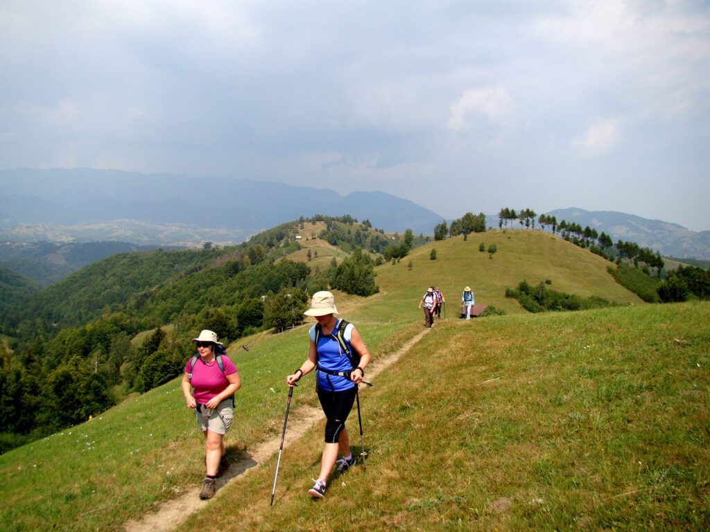 Day 4 - Moieciu area