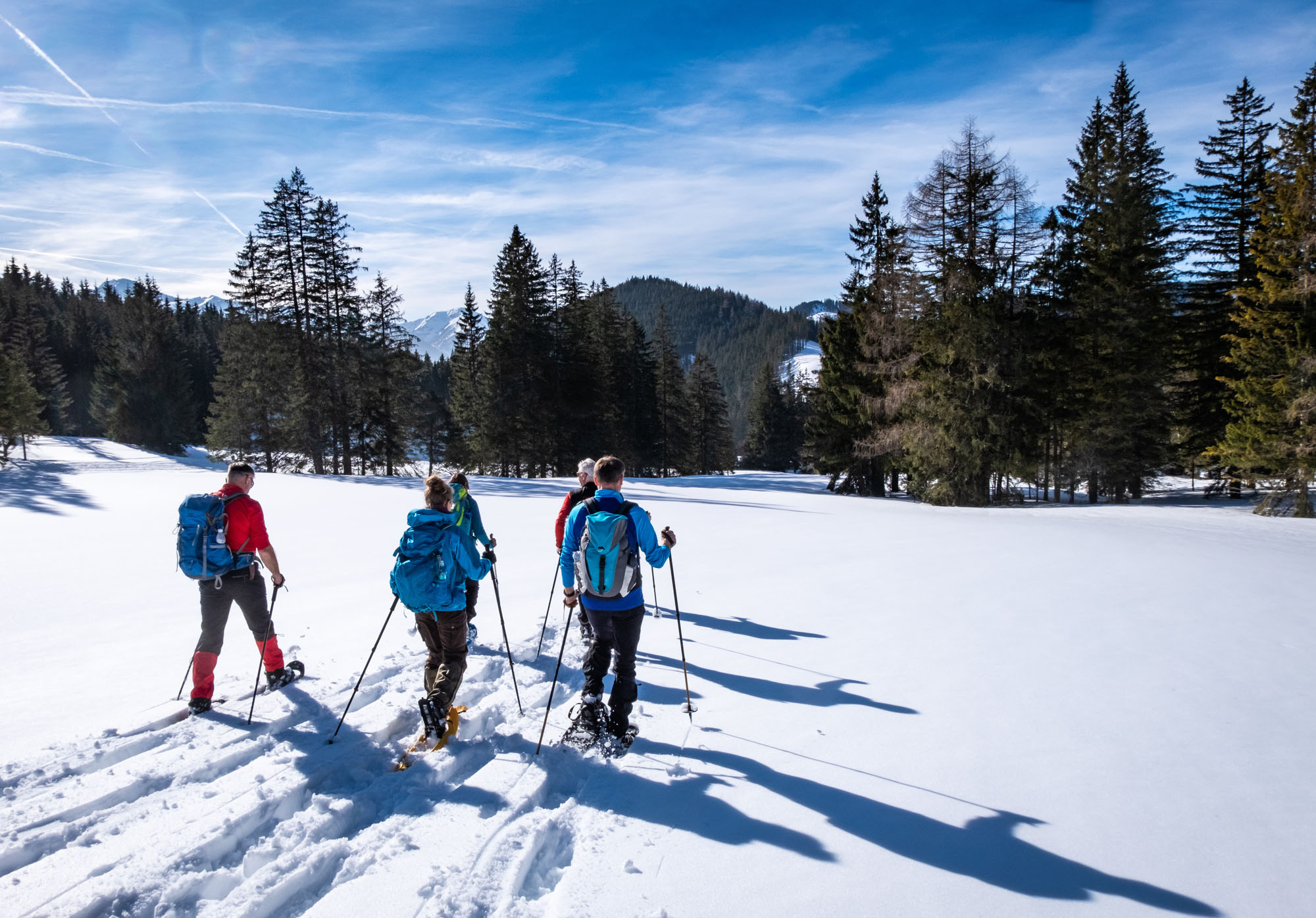 5 Best Snowshoe Hikes in the Val Aurina