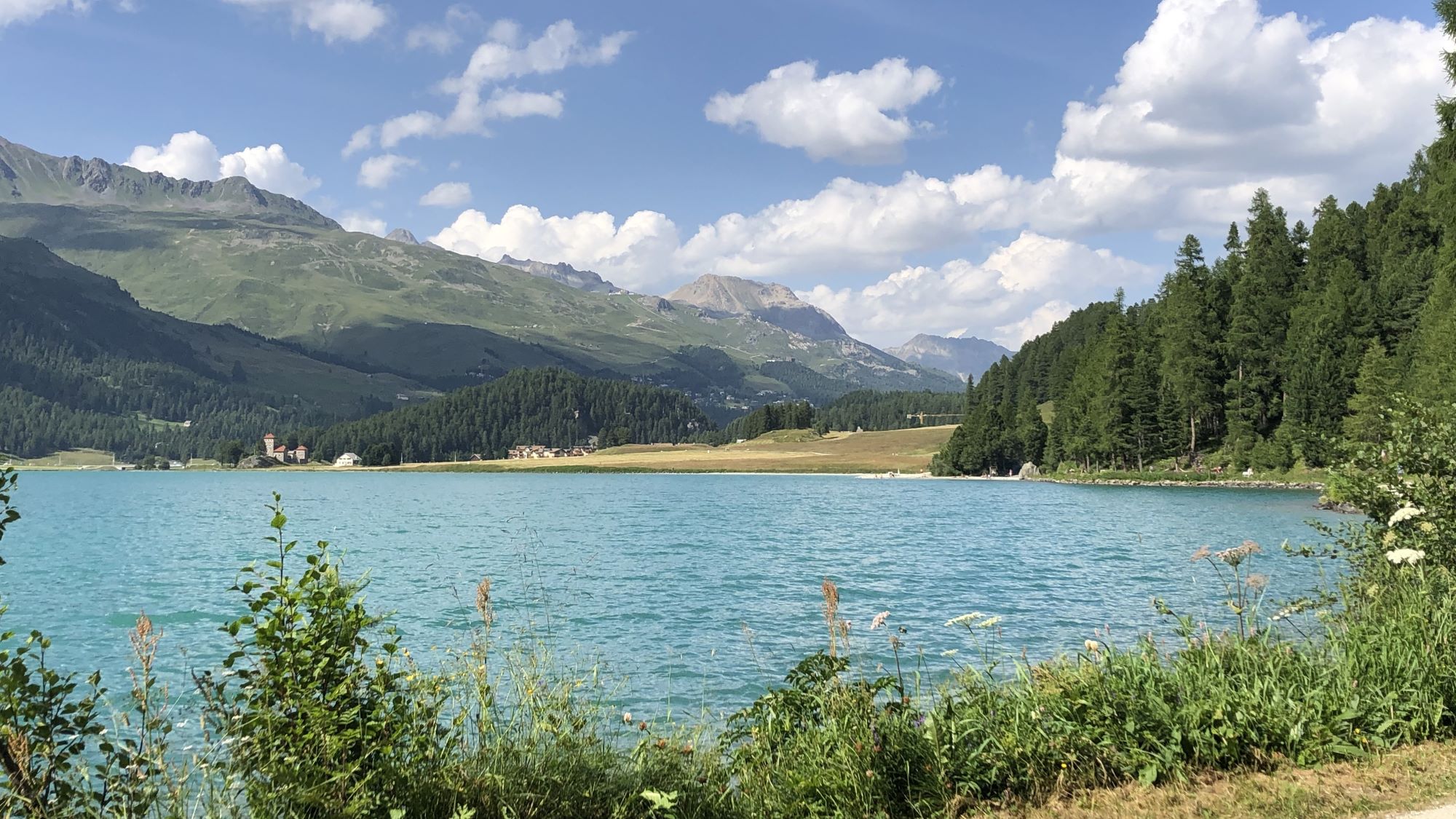 Swiss Alps Centre-Based Walking Holiday – First-Time Guest Review