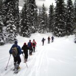 Snowshoeing-1