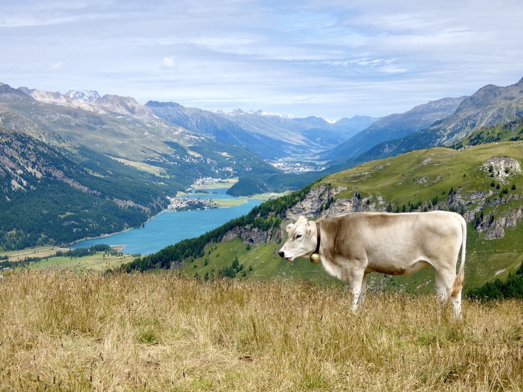 The best place for a hiking holiday in Switzerland?