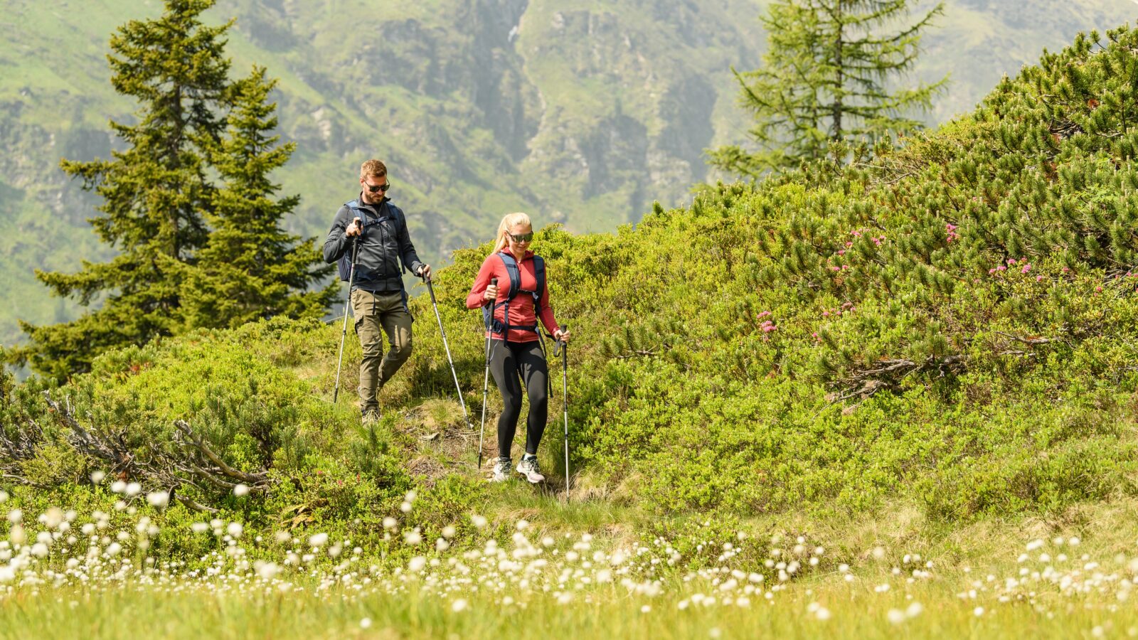 44_Wandern_Wanderhotel_(C)_Aktivhotel_Gasteiner_Einkehr