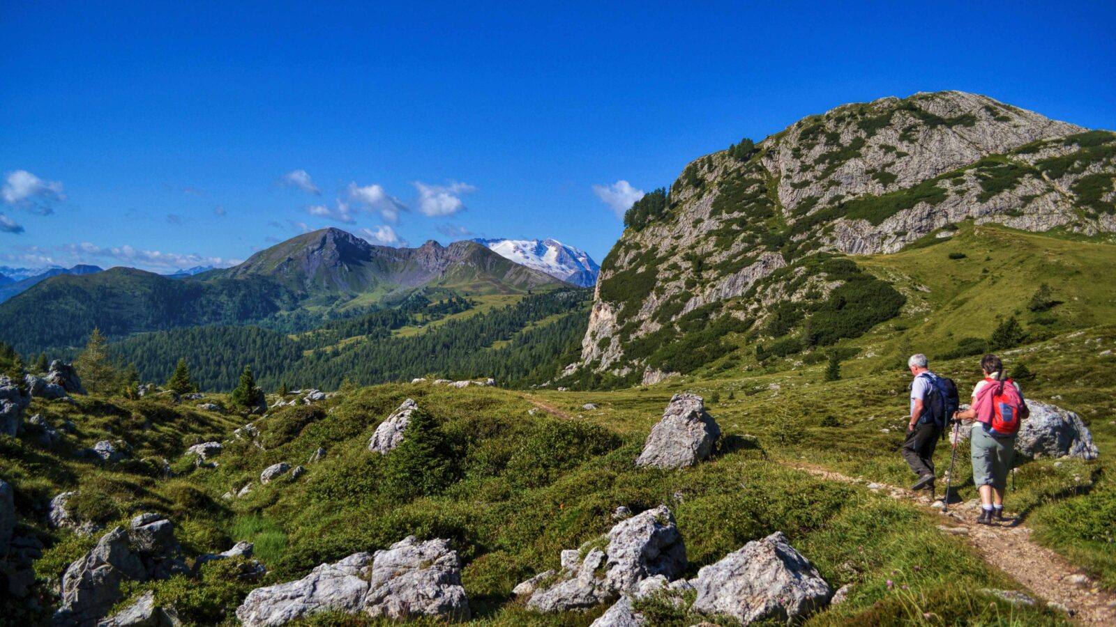 col-di-lana-italian-dolomites