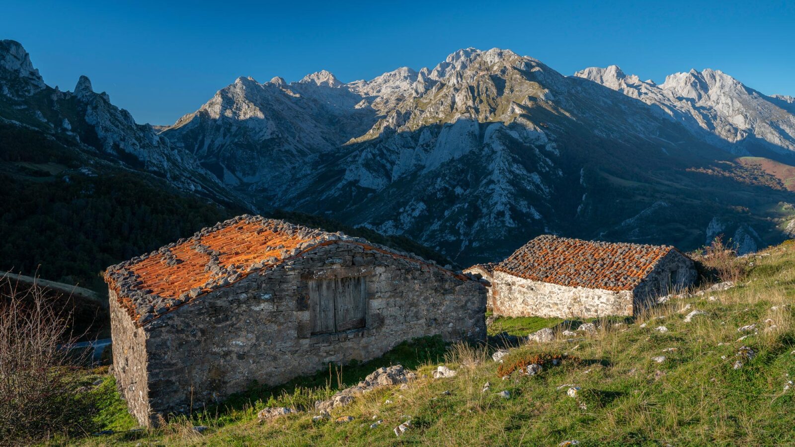 AdobeStock_466259229