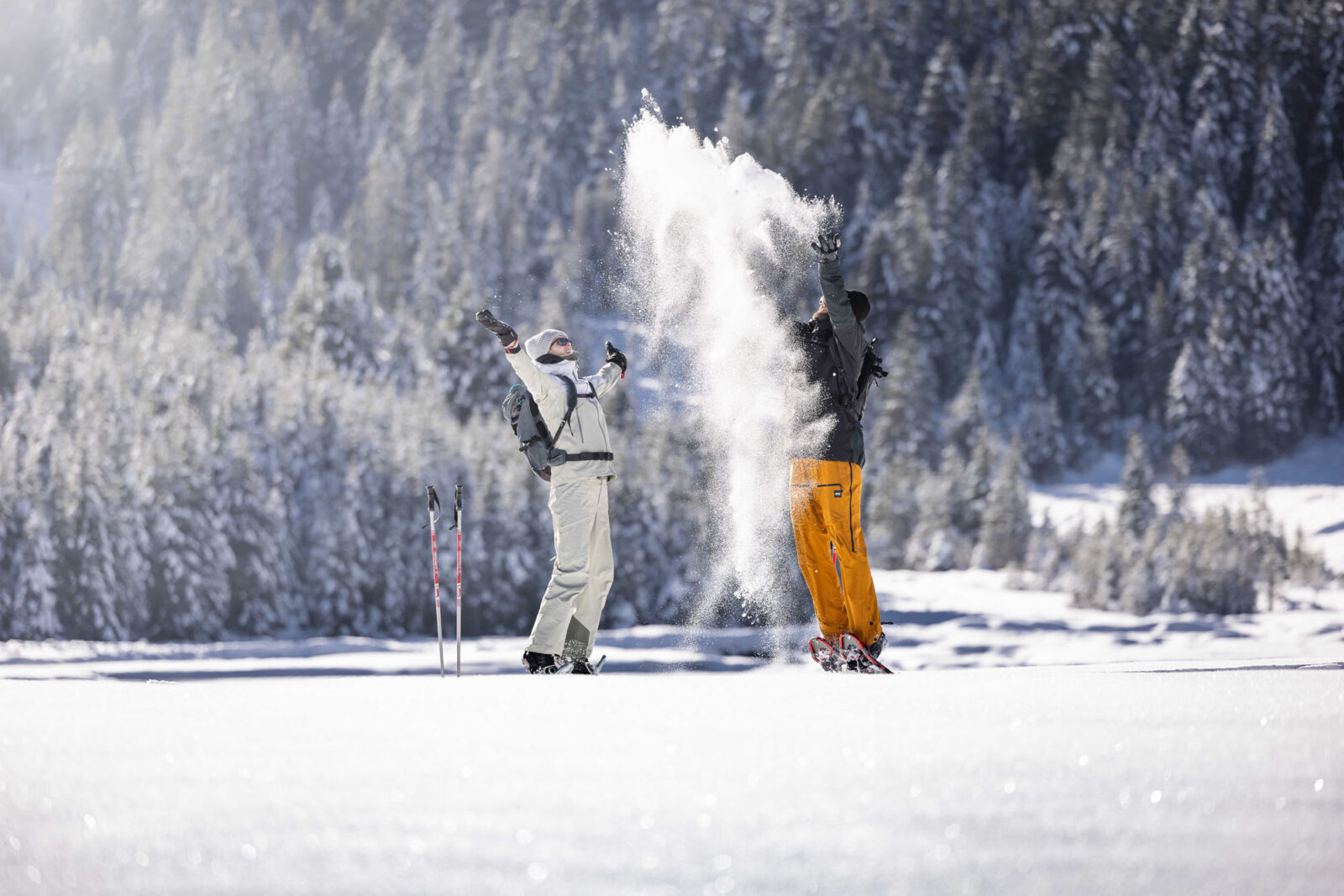 rs341_schneespass_pulverschnee-(c)-ferienregion-nationalpark-hohe-tauern---daniel-breuer-(2)_optimized